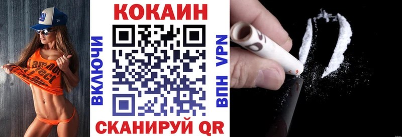 купить наркоту  mega   Cocaine Fish Scale  Кашира 