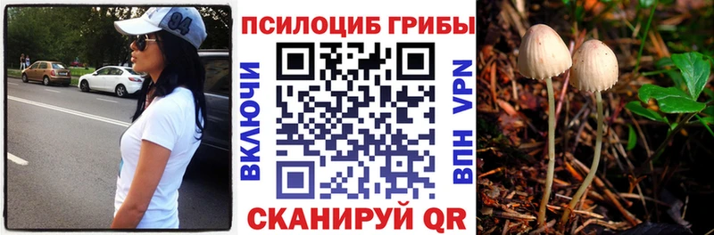 Псилоцибиновые грибы GOLDEN TEACHER  Кашира 