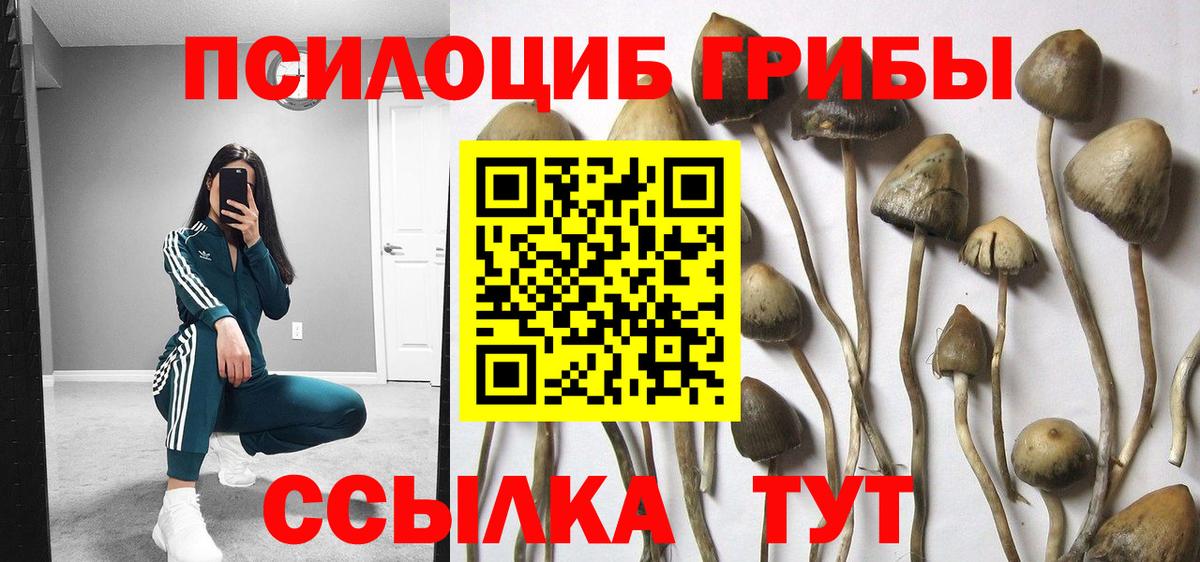 что такое наркотик  Галлюциногенные грибы прущие грибы  Вход с VPN  Псилоцибиновые грибы GOLDEN TEACHER  Кашира 